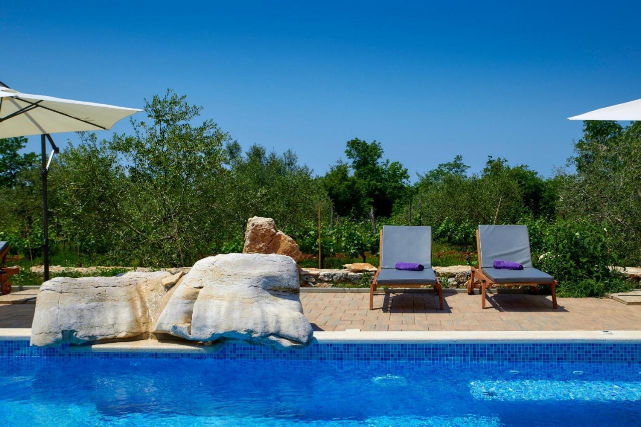 Relax House Surrounded By Olives And Vineyard Villa Stifanici Exterior photo