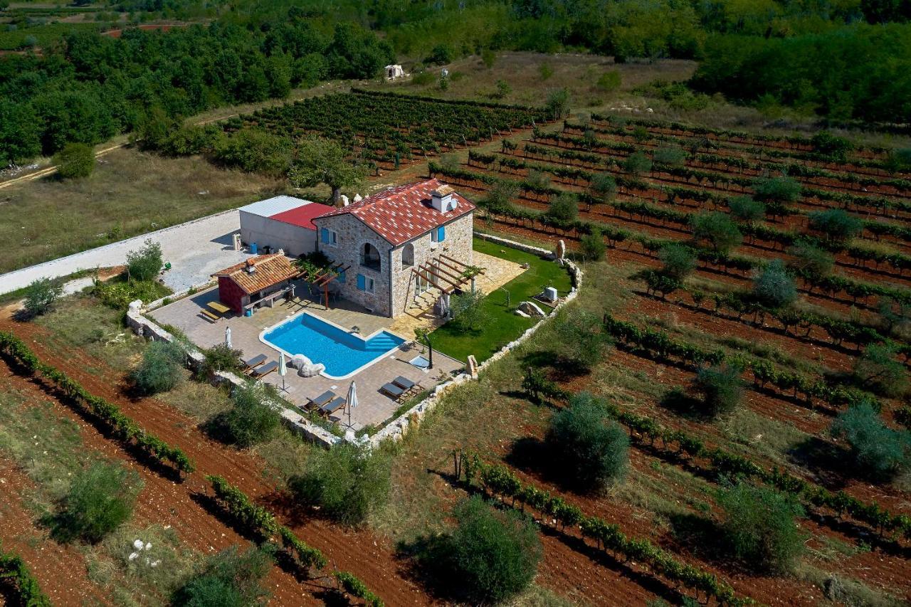 Relax House Surrounded By Olives And Vineyard Villa Stifanici Exterior photo