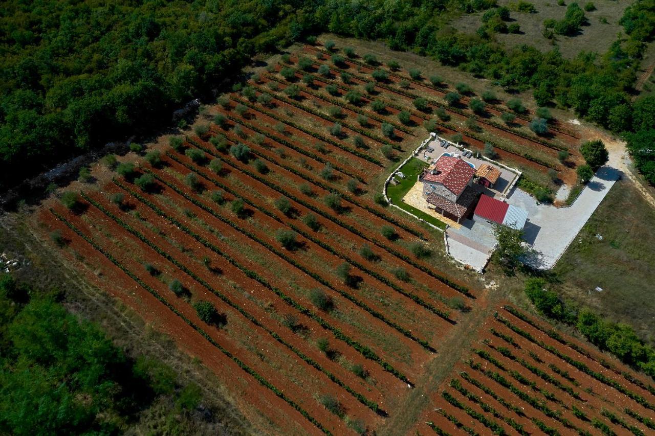 Relax House Surrounded By Olives And Vineyard Villa Stifanici Exterior photo