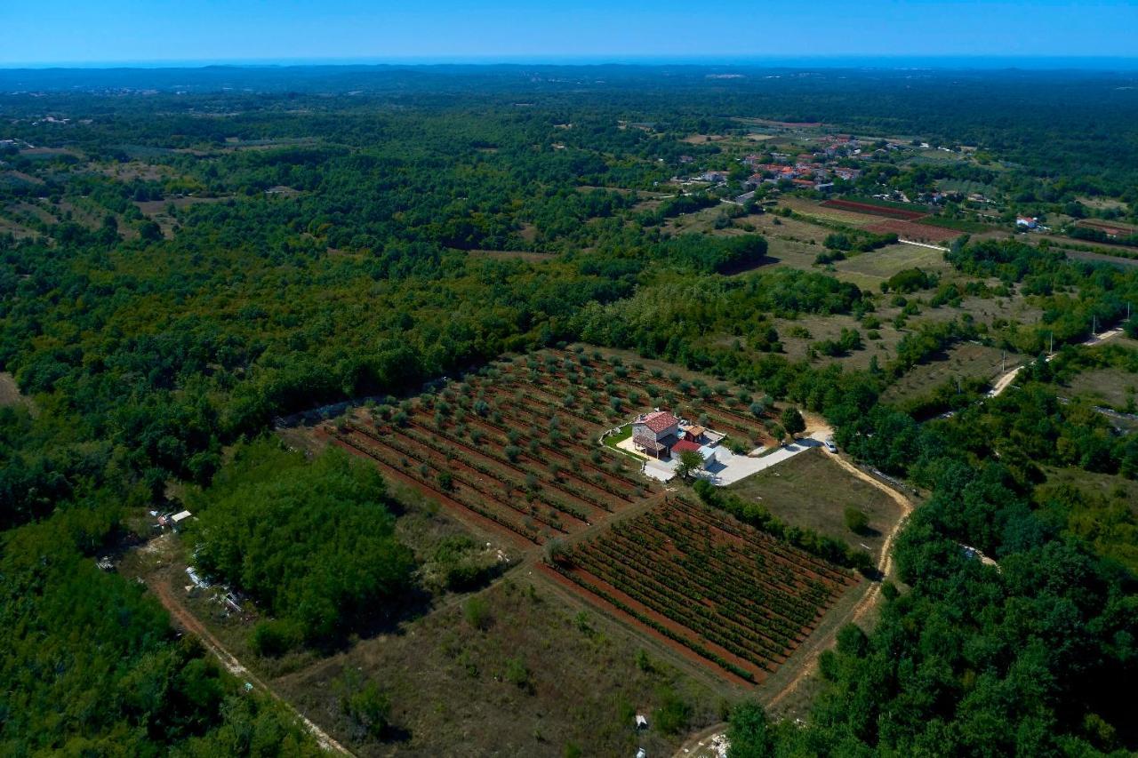Relax House Surrounded By Olives And Vineyard Villa Stifanici Exterior photo